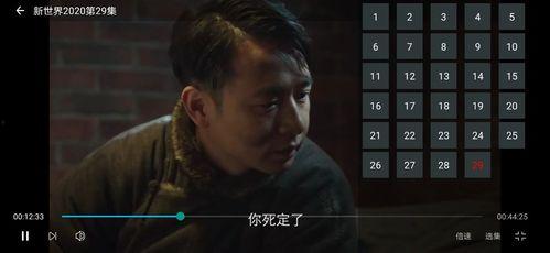 大勇爆料视频大全最新版,揭秘热点事件，洞察社会真相