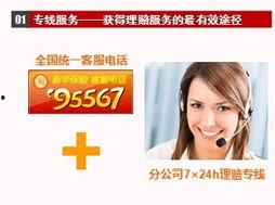 倒牛奶事件 明星PPT,明星公益行动背后的故事与启示