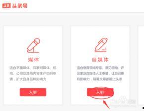 入驻头条15天,崭新启航，精彩初现