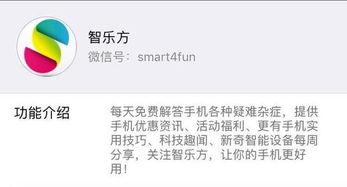 怎样找到吃瓜群聊呢,揭秘如何加入热门吃瓜群聊
