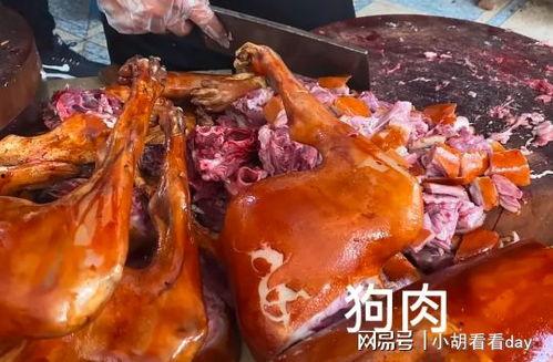 旅顺网红狗肉馆地址,地址揭秘，美食之旅即将启程！”