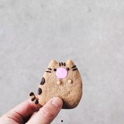 网红饼干是啥意思啊,揭秘网络热销零食背后的魅力