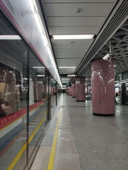 深圳广州头条疫情,两地携手共筑防疫防线