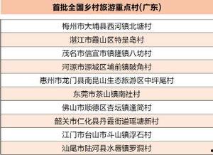 广东农村爆料新闻报道,揭开乡村发展背后的真实故事