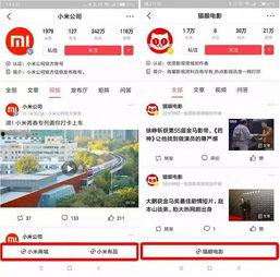 在今日头条上卖货,揭秘爆款商品背后的卖货秘诀！