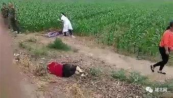 石家庄爆料藁城事件视频