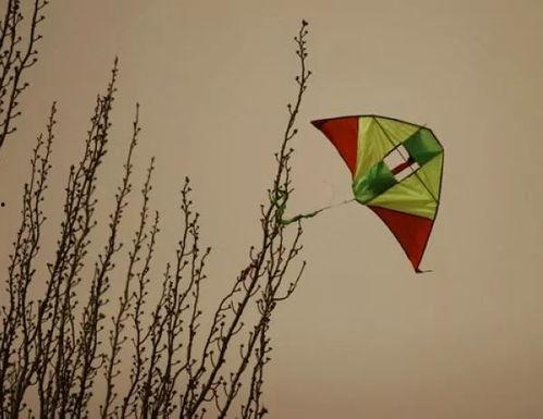 网红风筝断了线福利,空中奇遇记