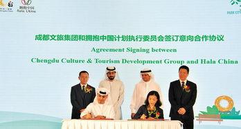 成都旅行爆料视频,探秘美食天堂与悠闲生活