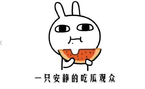 网络中的吃瓜是什么意思