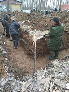 娱乐吃瓜酱扎钢筋